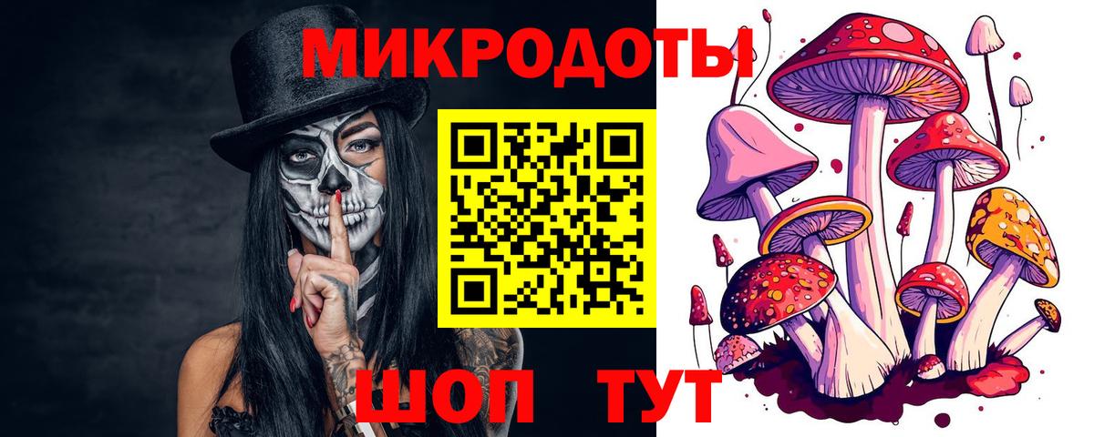 Богданович  Псилоцибиновые грибы Cubensis  Галлюциногенные грибы Psilocybe  Вход с VPN 