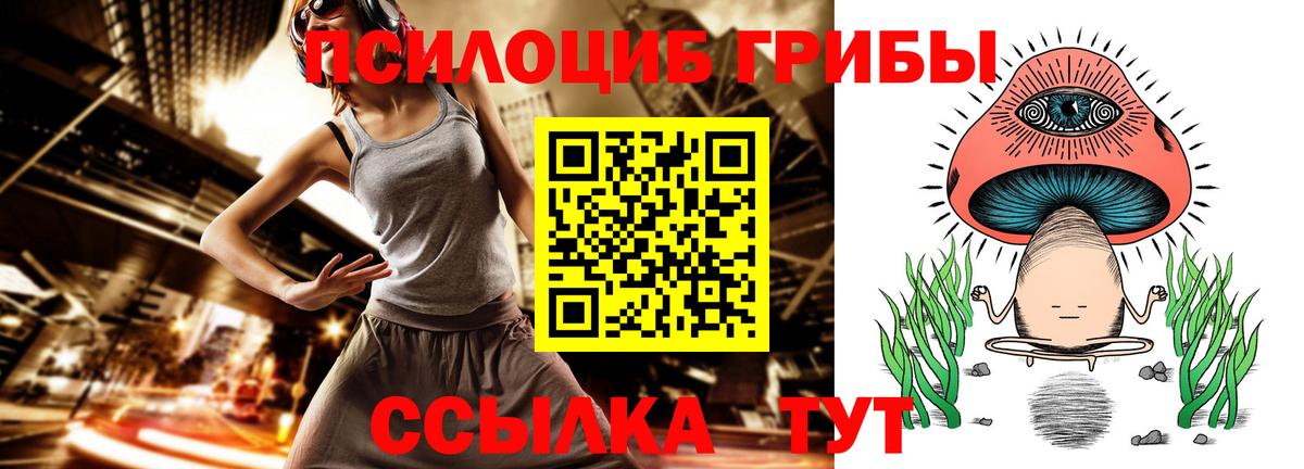 Псилоцибиновые грибы мицелий  Богданович 