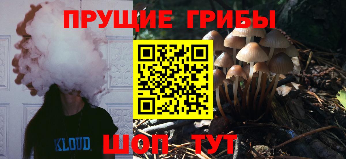 Псилоцибиновые грибы ЛСД Богданович