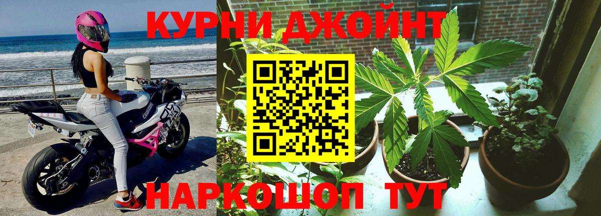Марихуана OG Kush Богданович